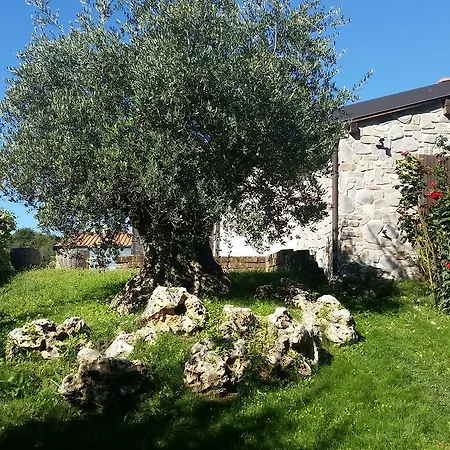 Villa Giotto *